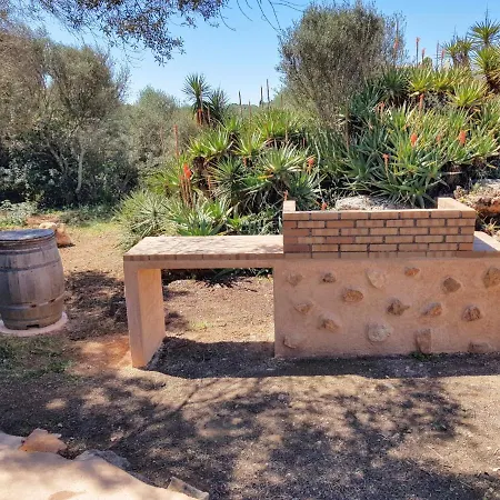 Salinas Family & Friends סס סלינס